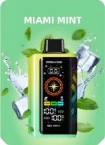 Maskking ICEX 40000 zaciągnięć jednorazowy e papieros Miami mięta